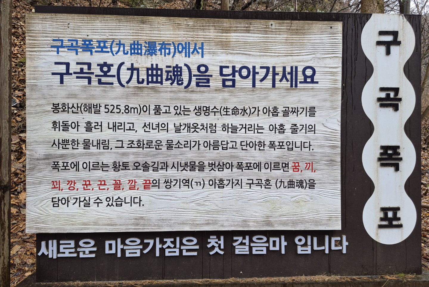 Post image 5