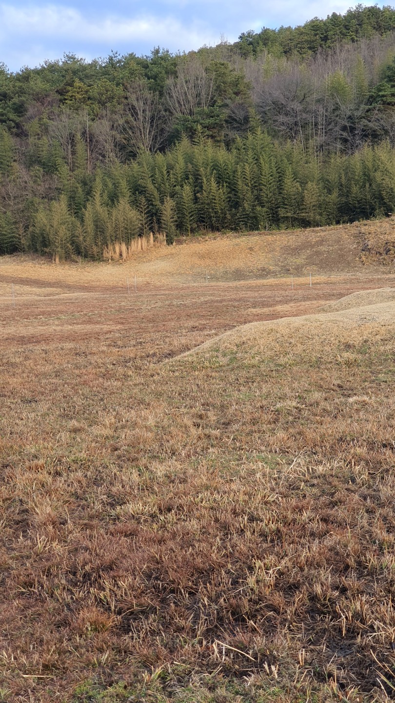 Post image 6