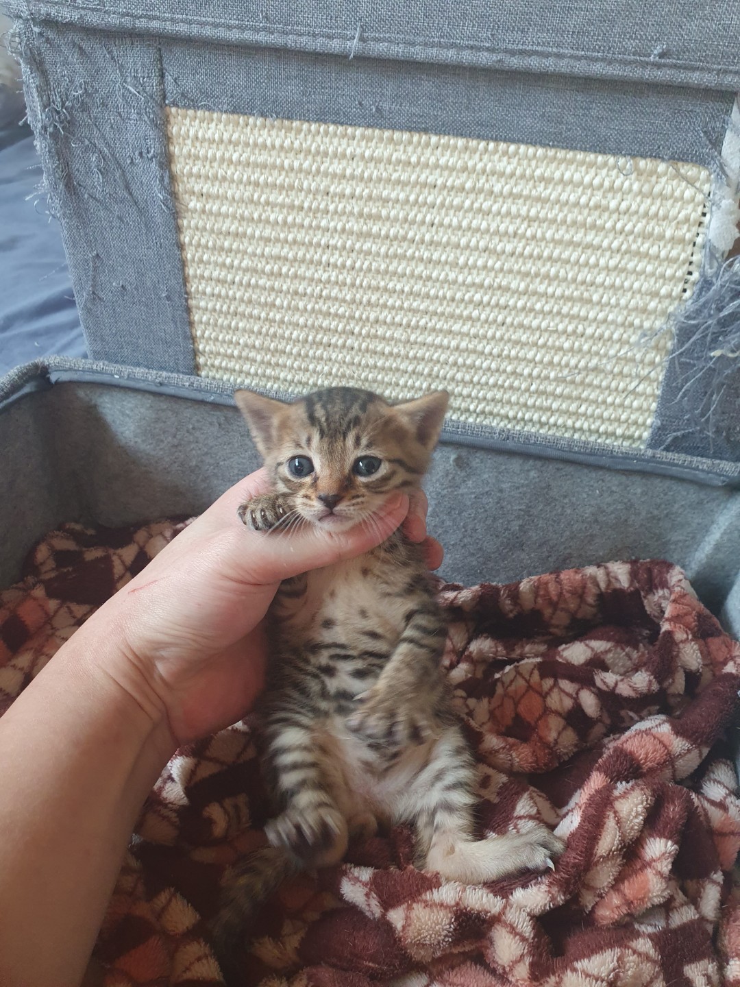 27일차 남자아이 쪼꼬미