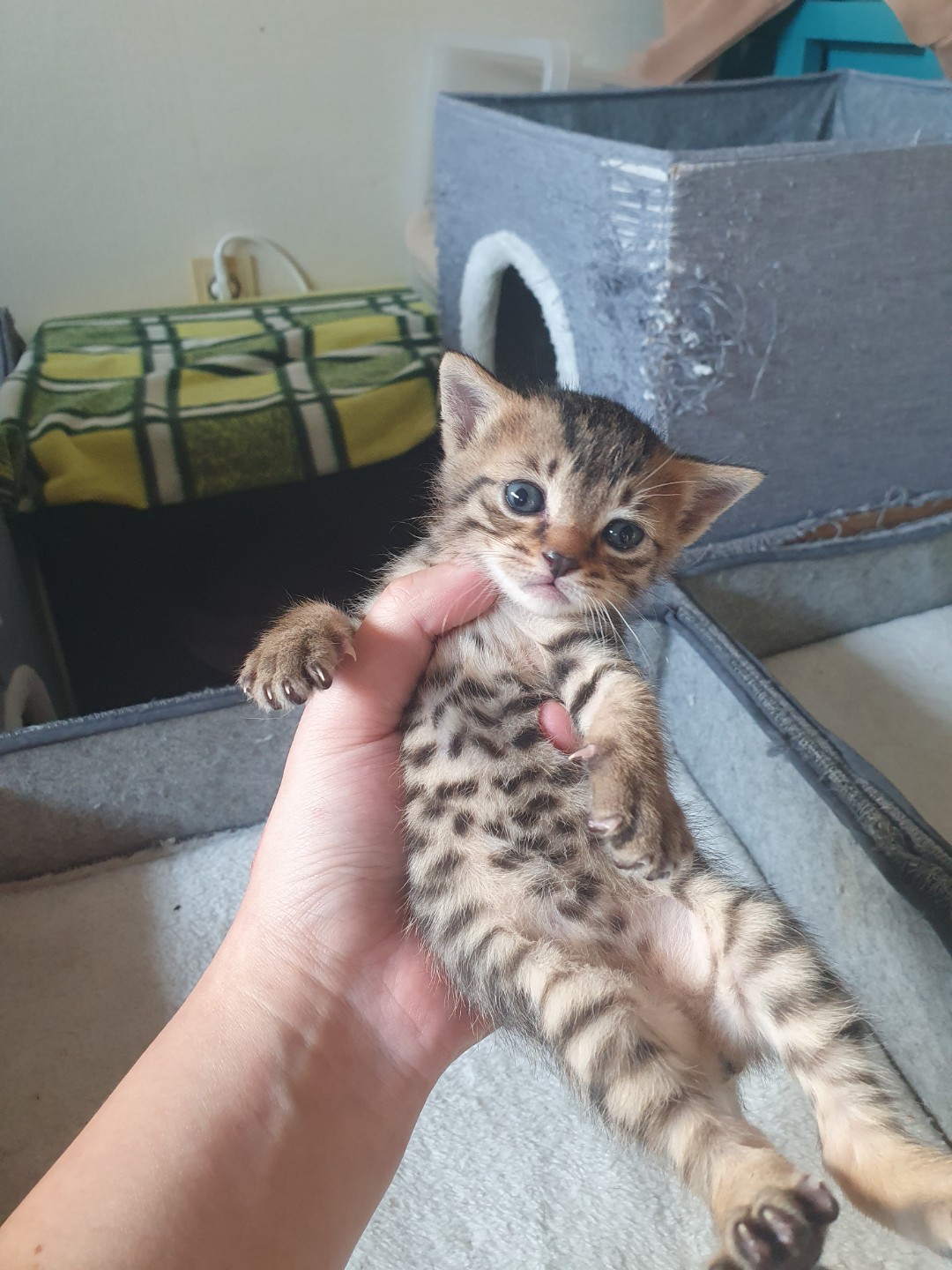 27일차 남자아이 쪼꼬미