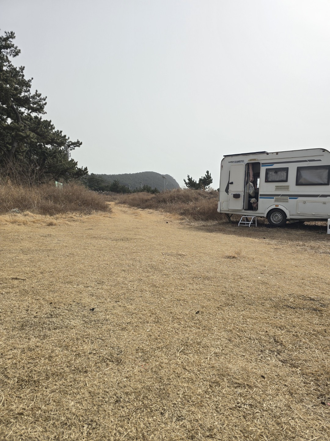 Post image 19