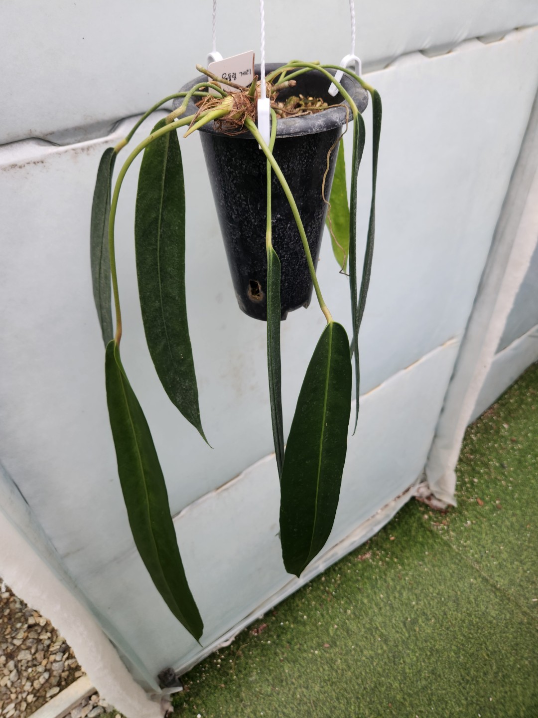 Post image 10