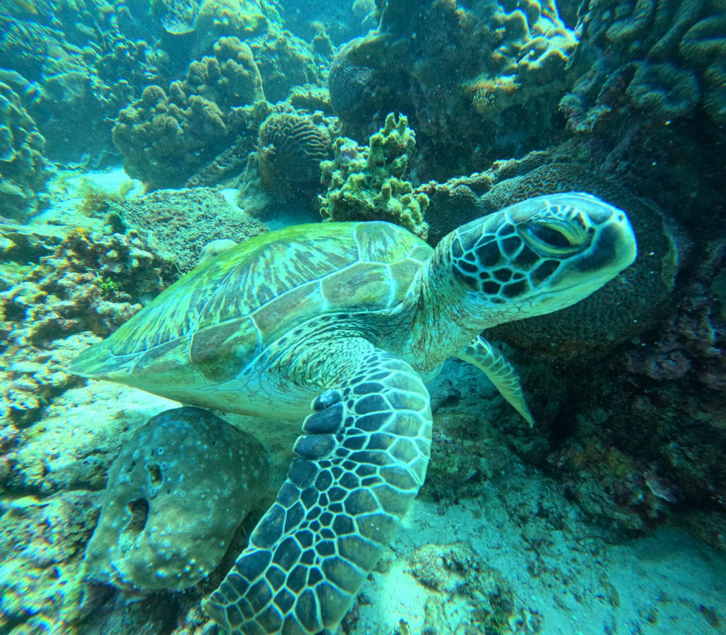 Post image 6