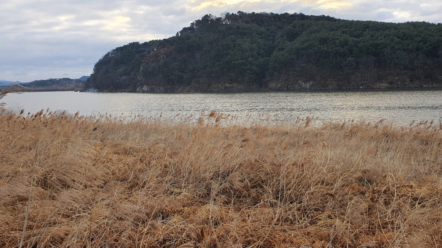 Post image 6