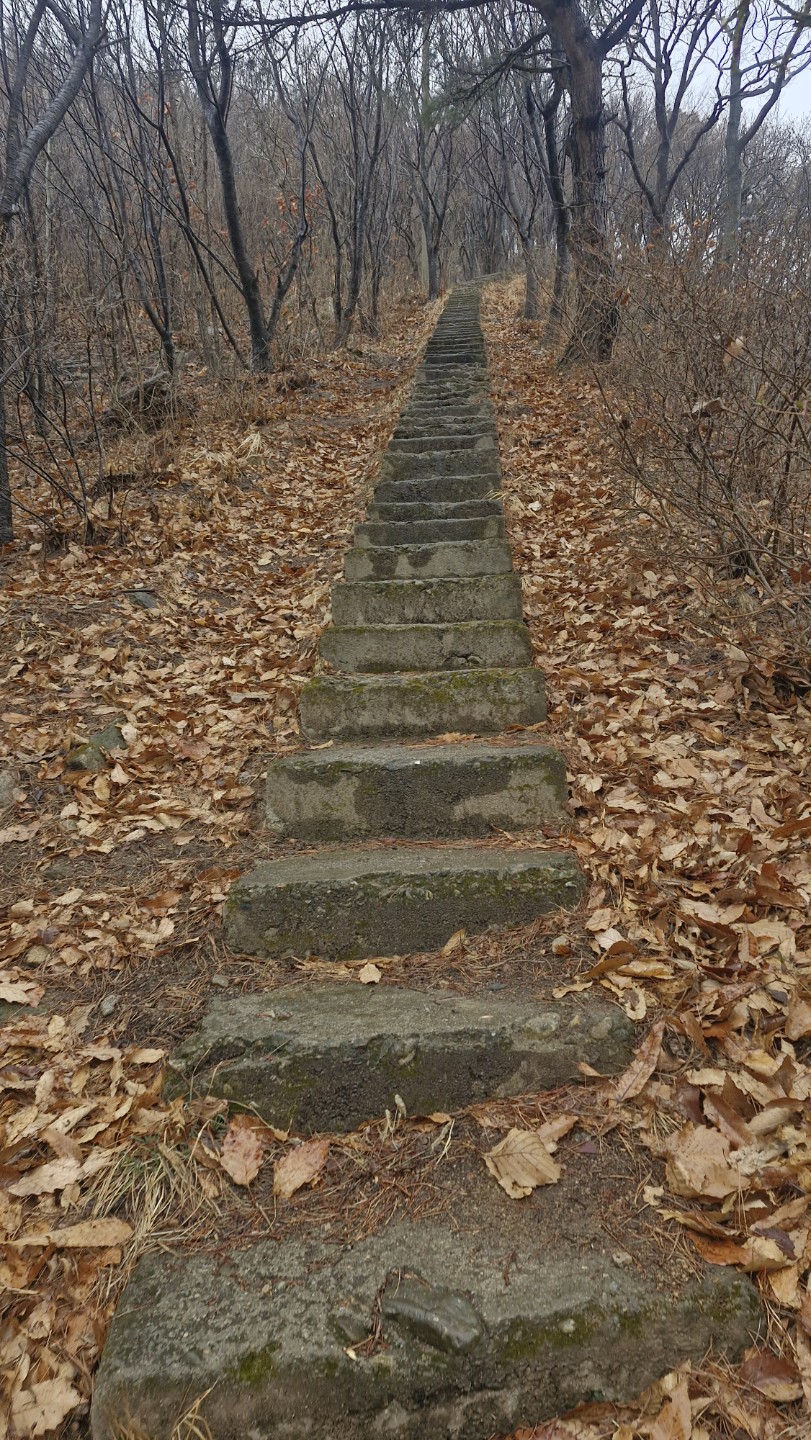 Post image 6