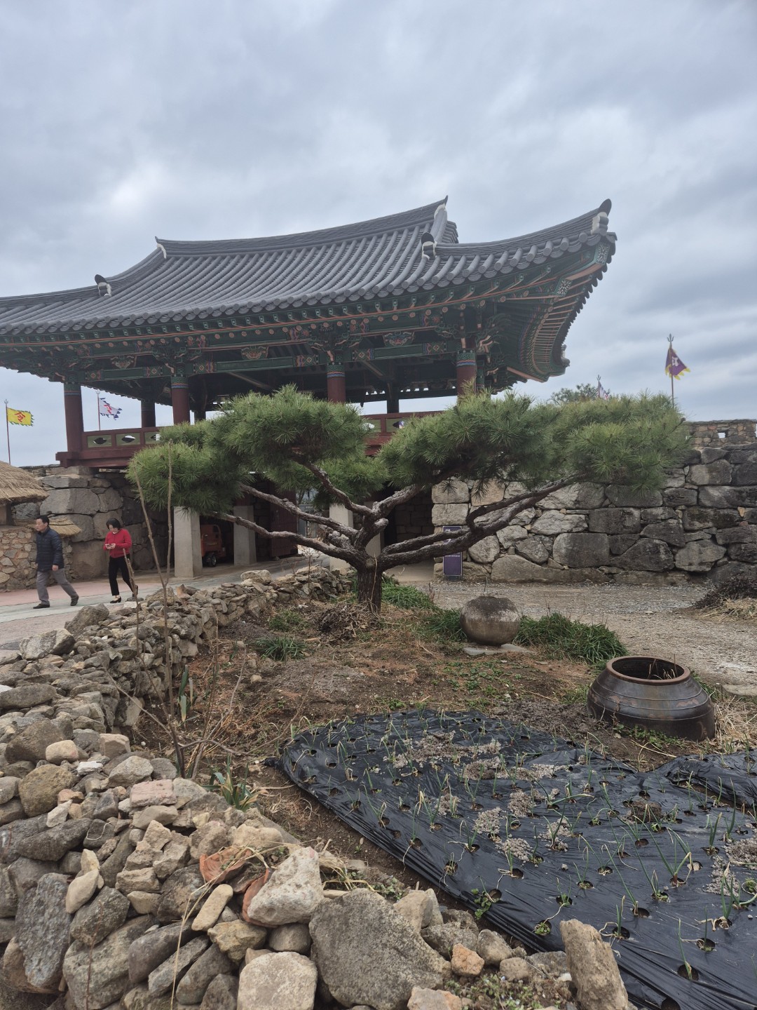 Post image 16