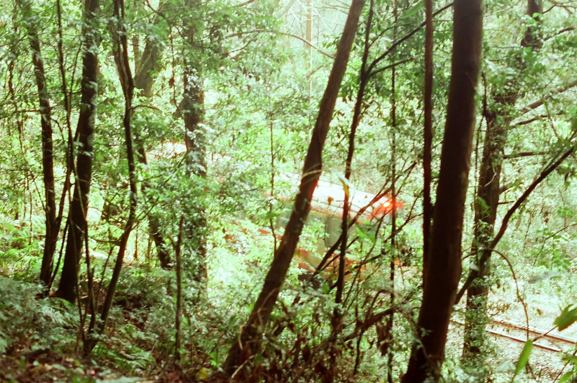 Post image 5