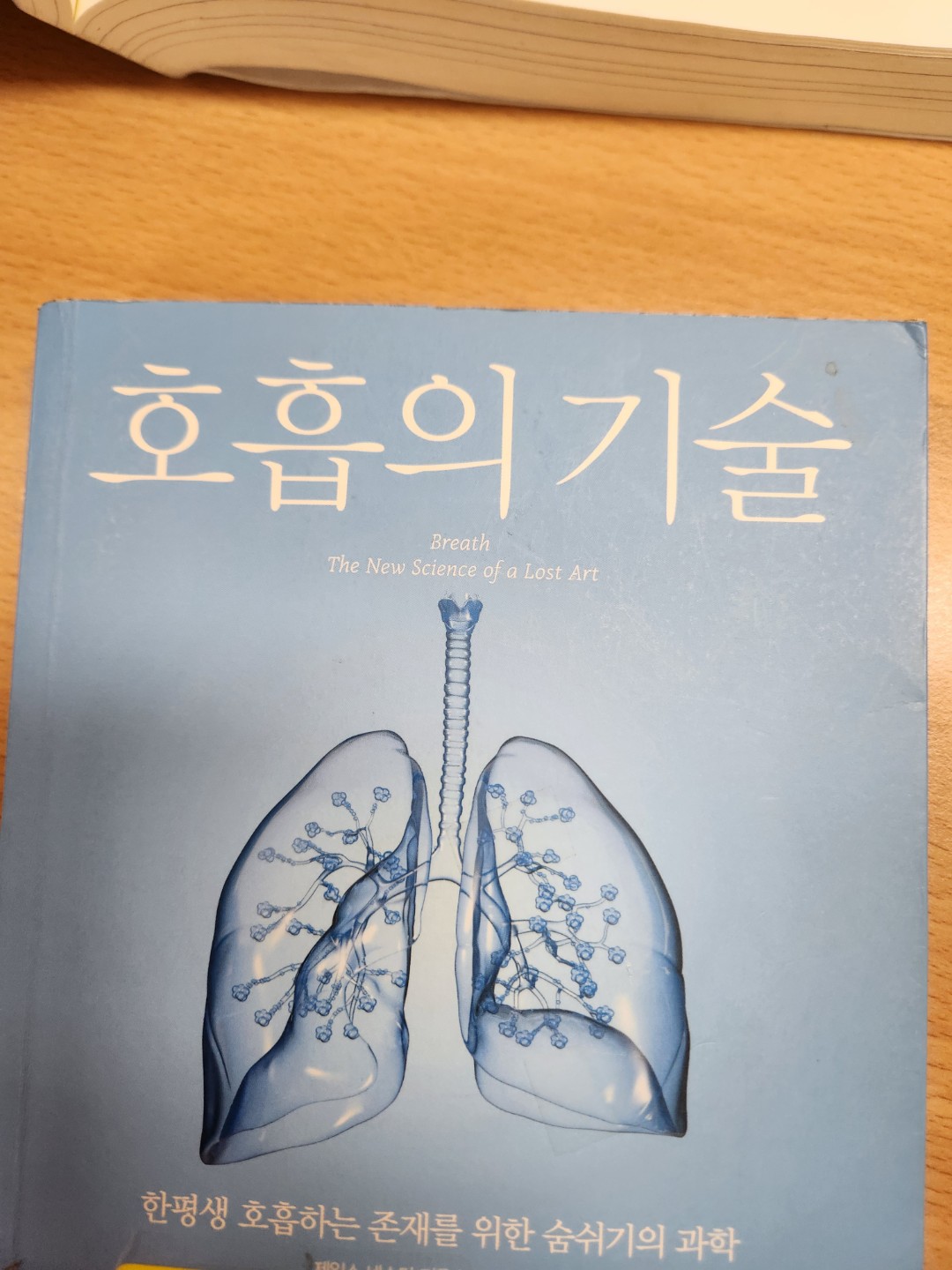 김성주입니다 안녕하세요