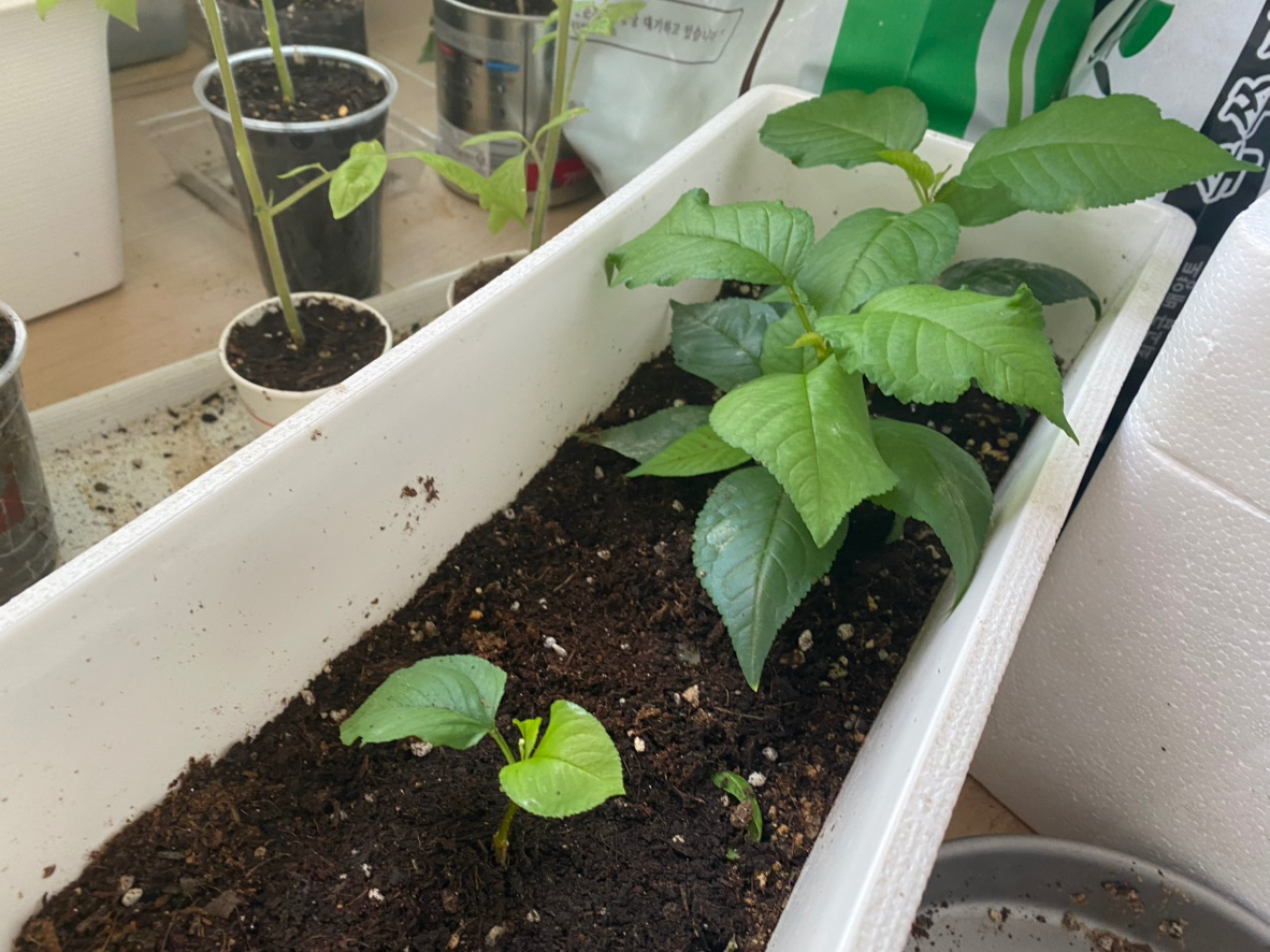 Post image 6