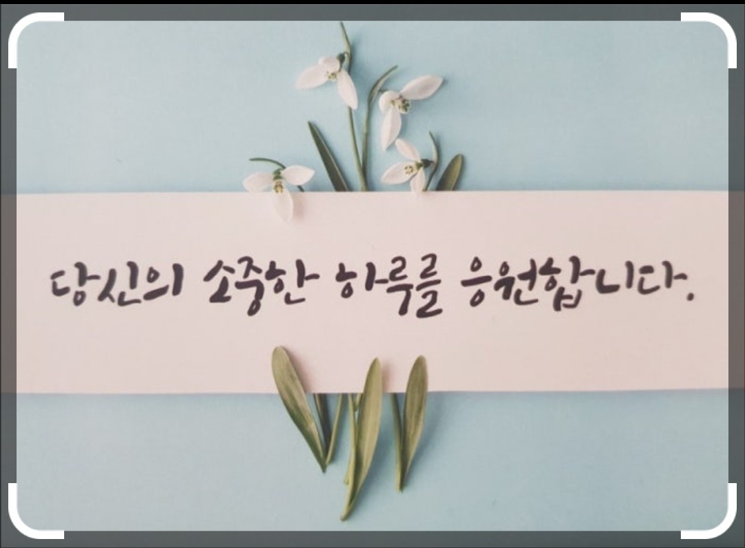 당신의 소중한 하루를 응원합니다~🙏