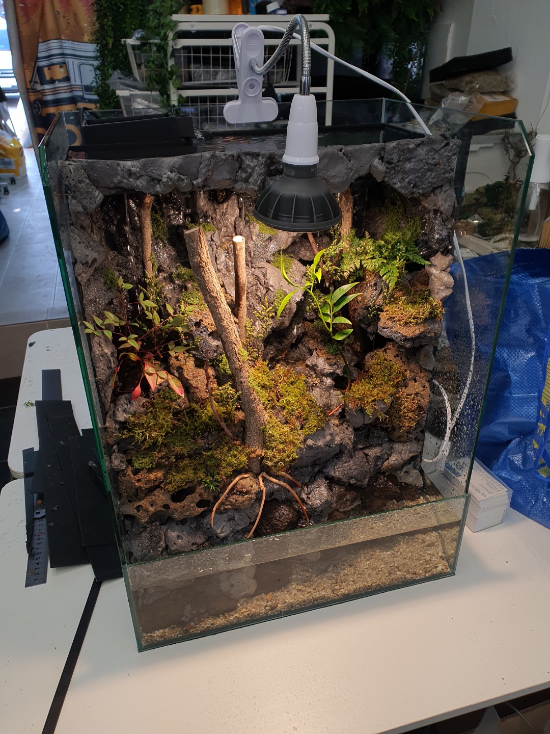 Post image 11