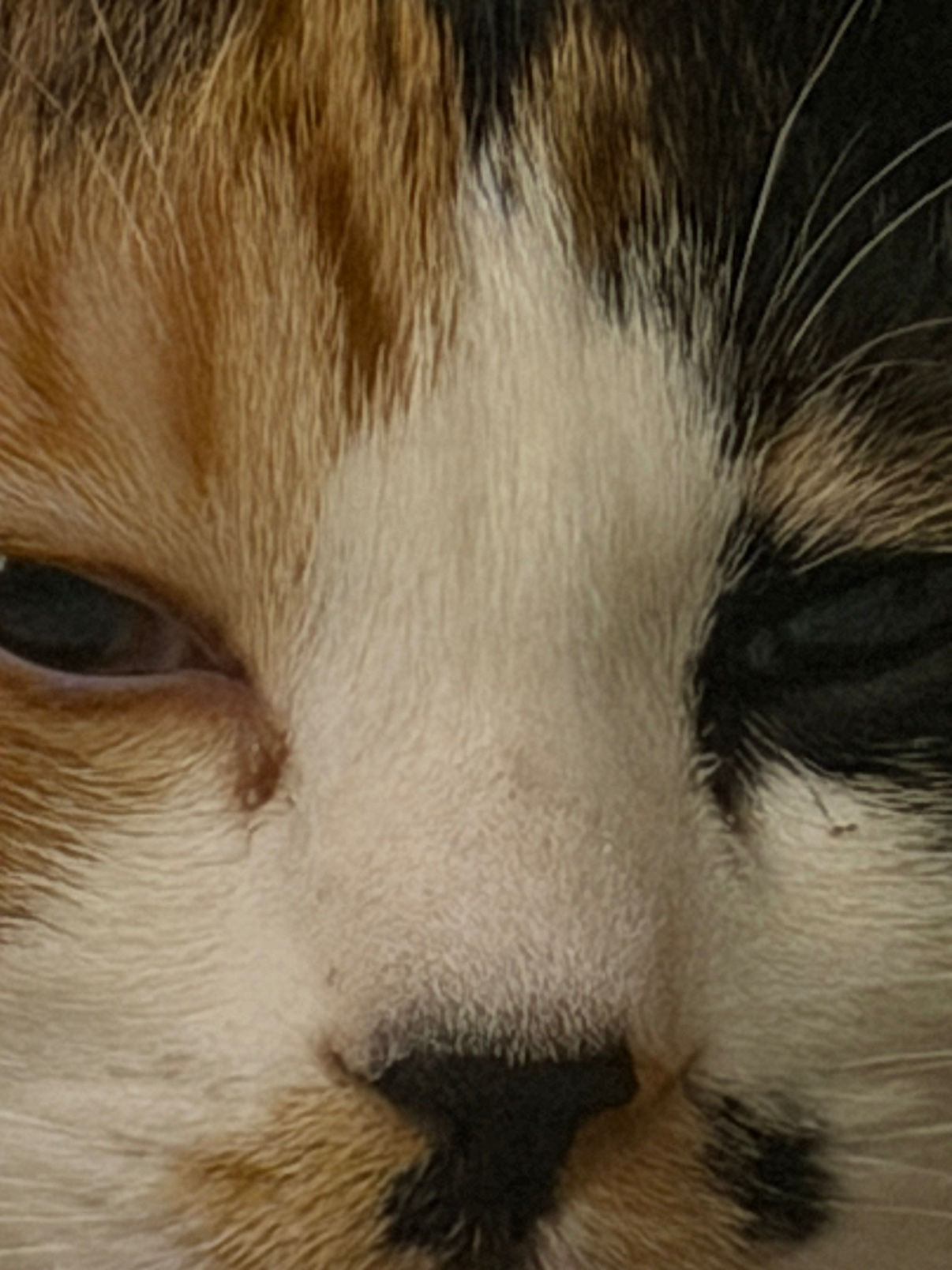 Post image 6