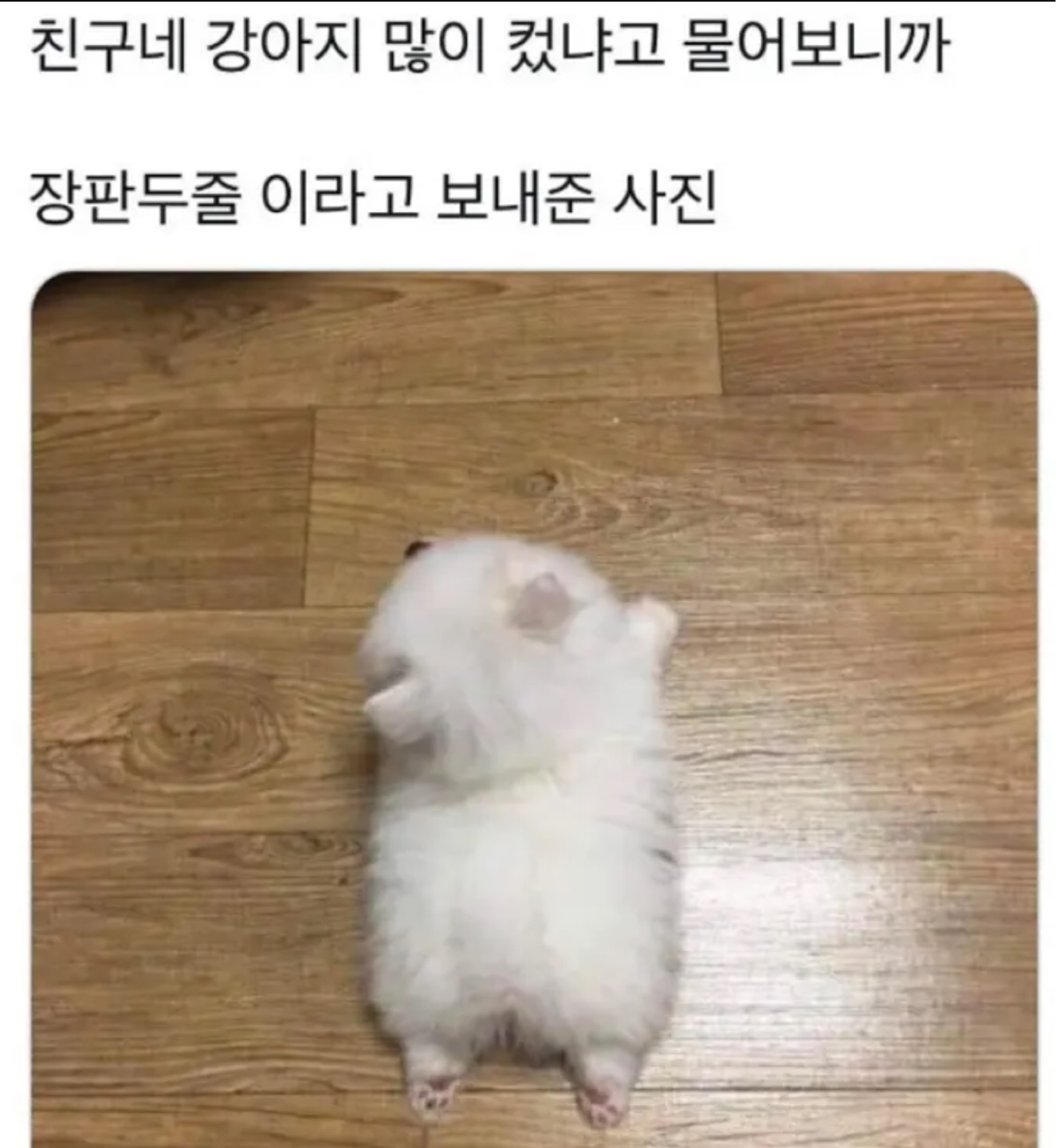 장판두줄
