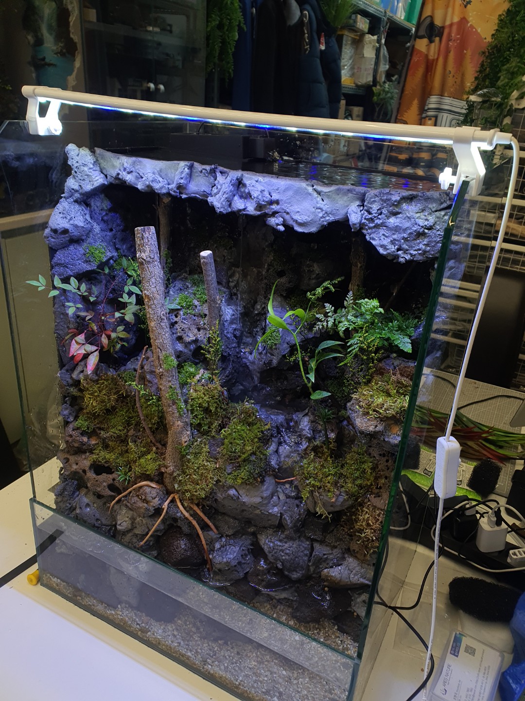 Post image 5