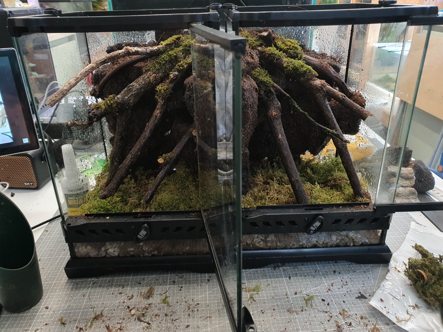 Post image 5