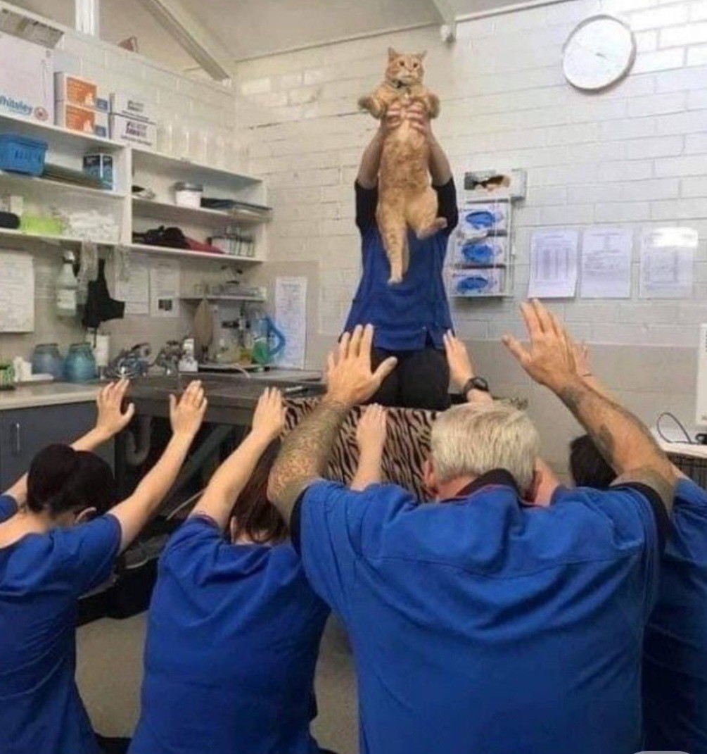 오오오 당신은 나의 첫 멤버입니다...☆