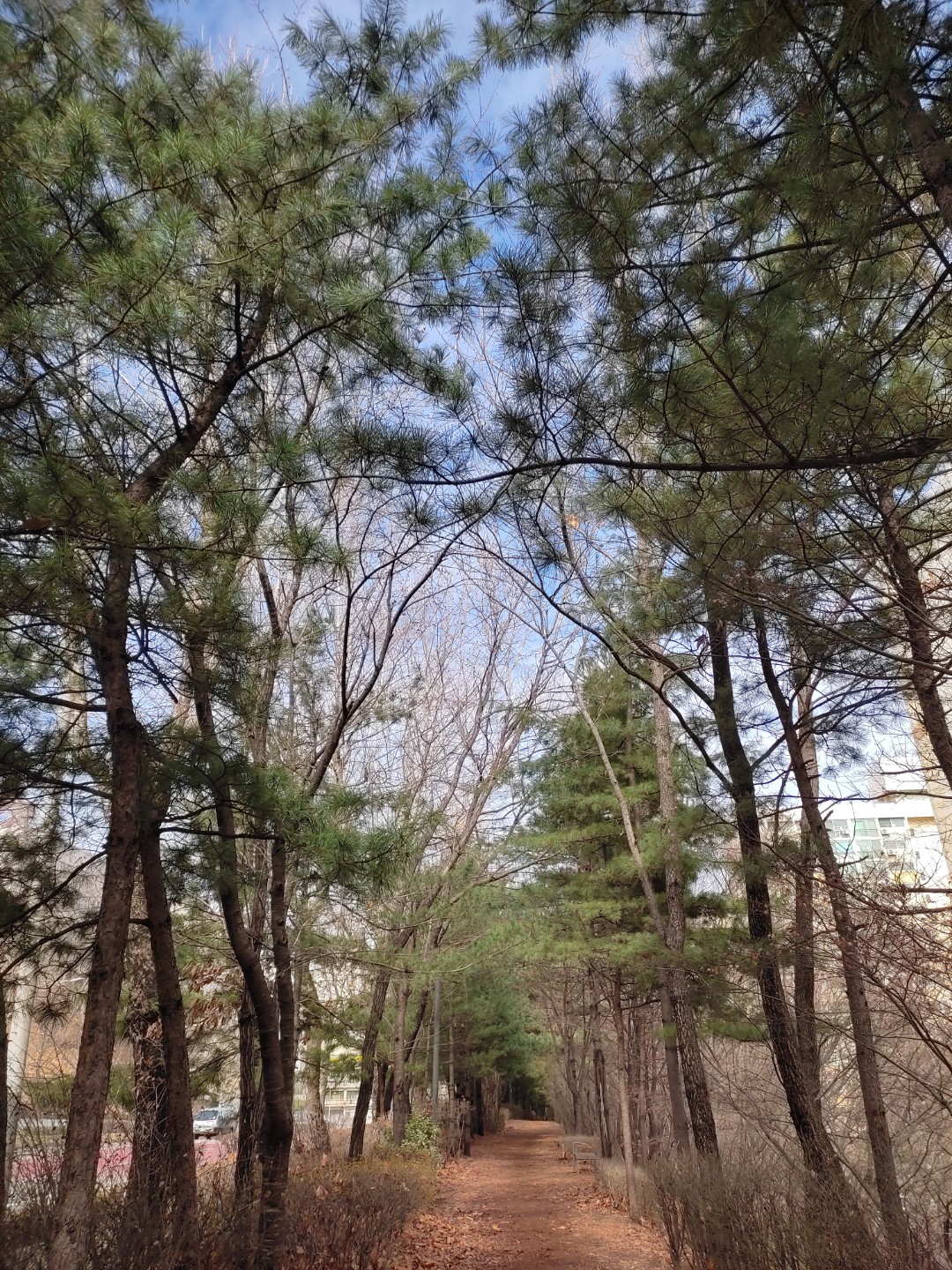 부딪혀야 할까 피해야 할까