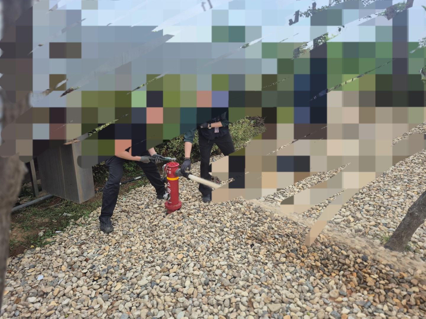 점검업체 괜찮은 곳 추천해주세요