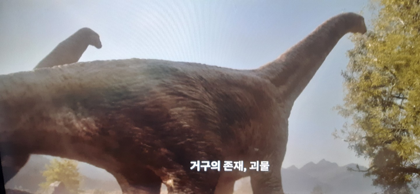 Post image 5