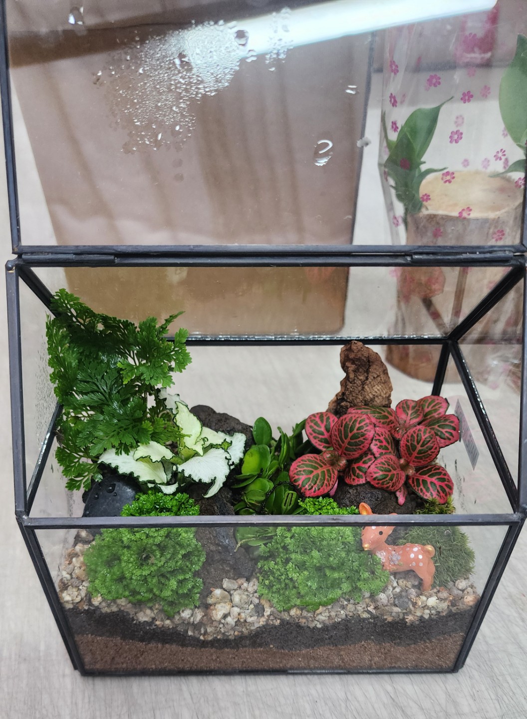 Post image 4