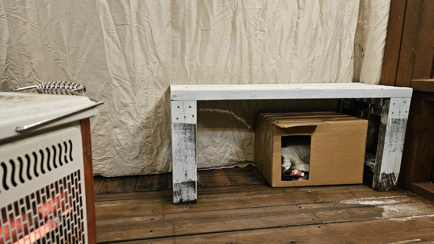 Post image 4