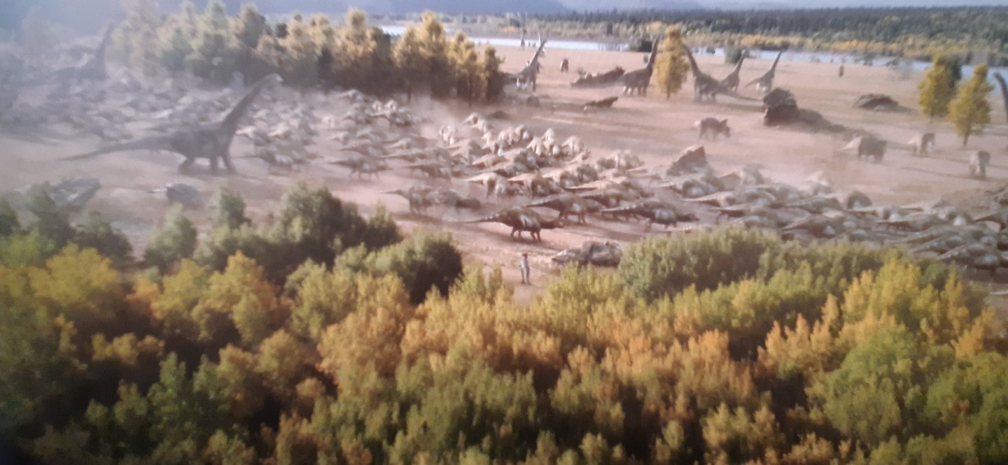 Post image 4