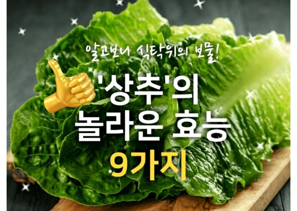상추'의 효능 9가지