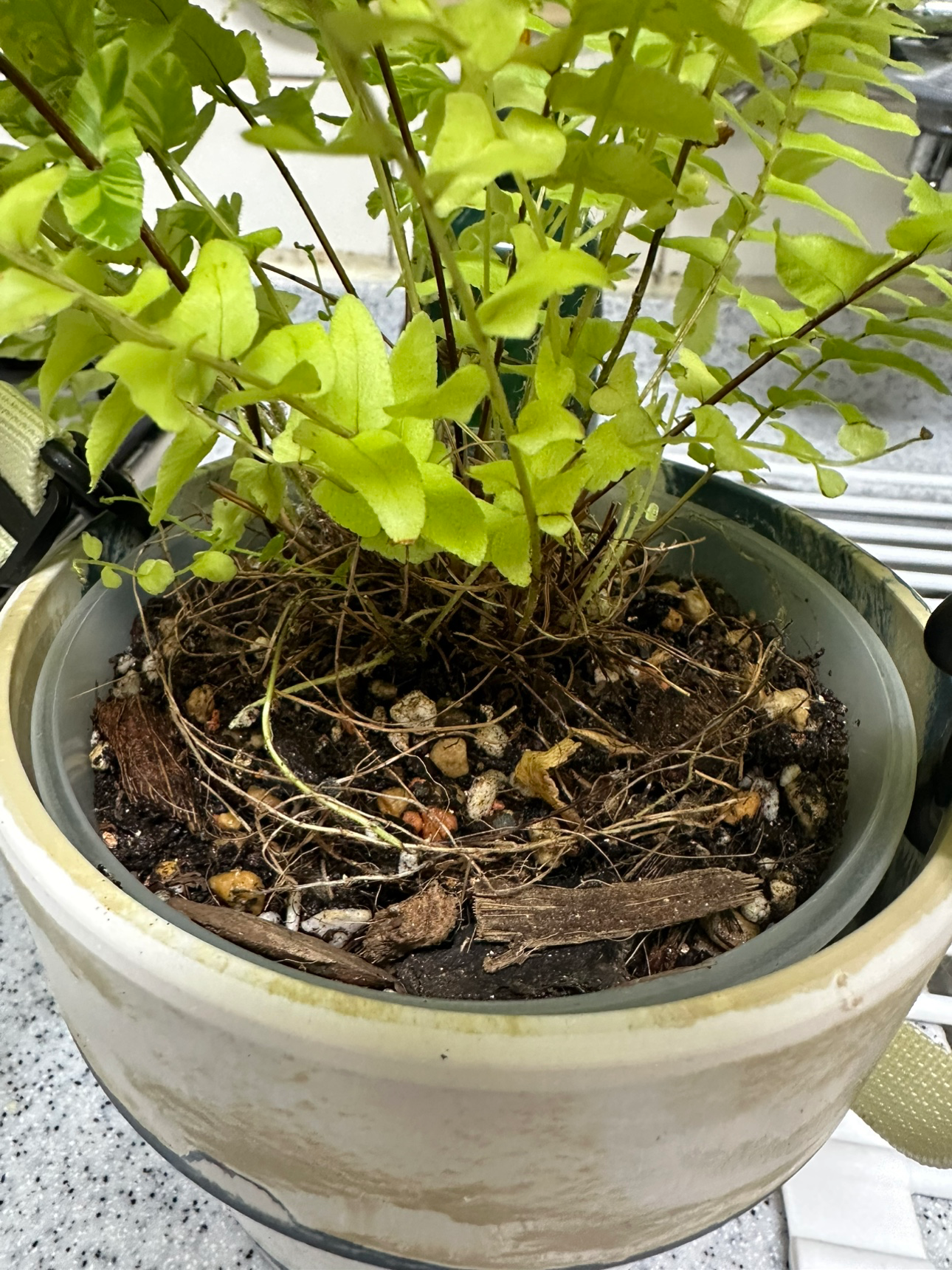 Post image 4