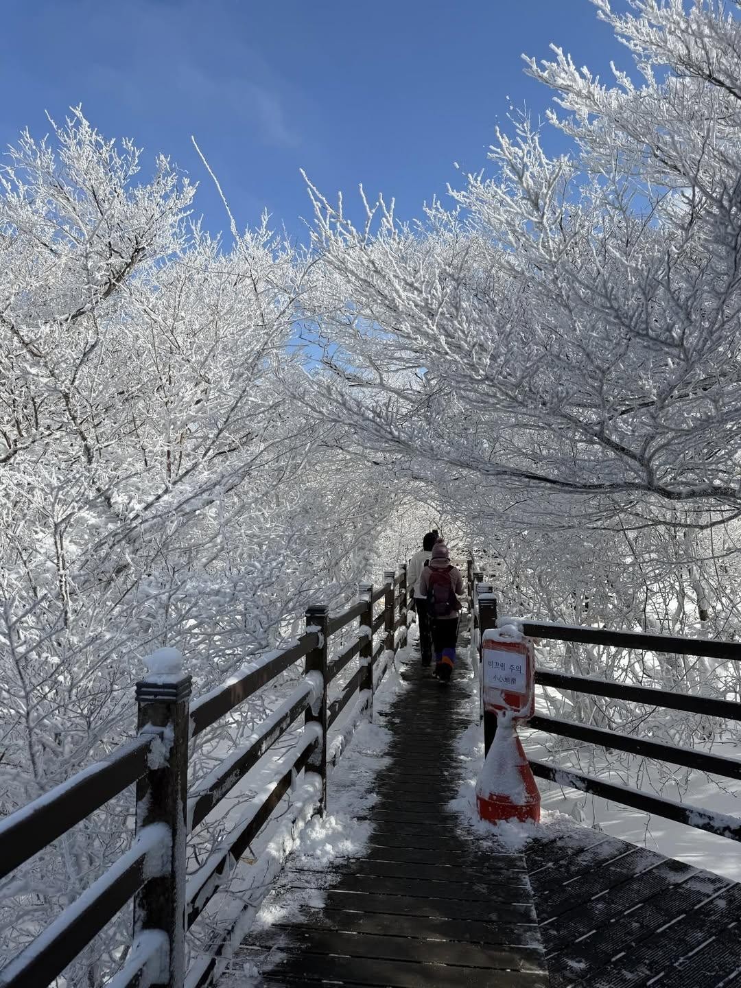 등산