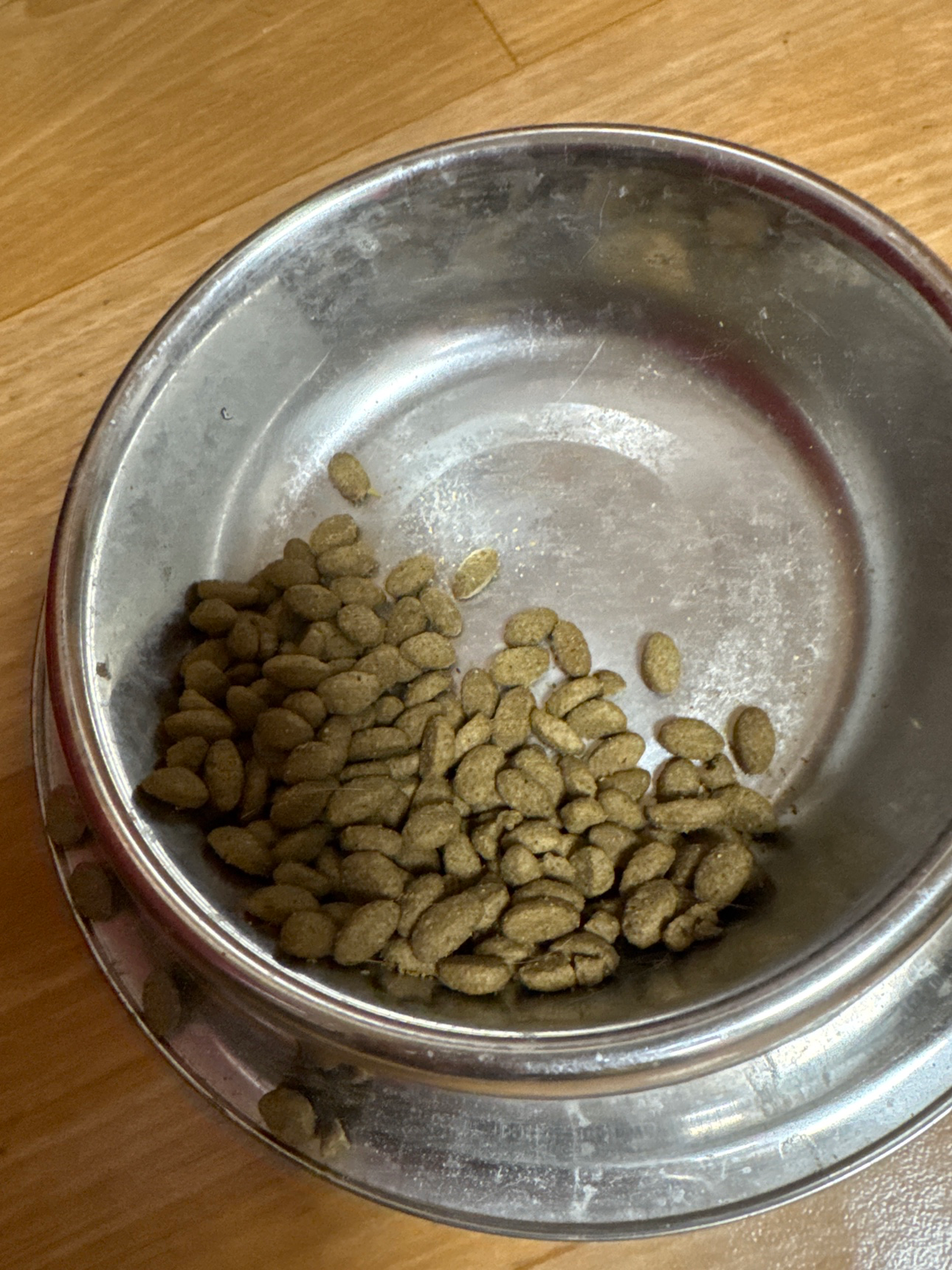 오늘 저녁운 고양이 사료로 떼웁니다…