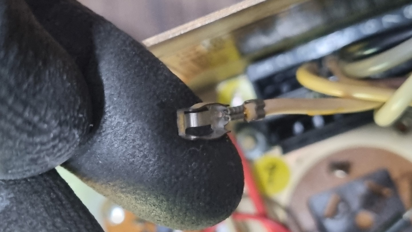 혹시 터미널단자 인데 무슨단자 인지 아시는 분 계실까요?