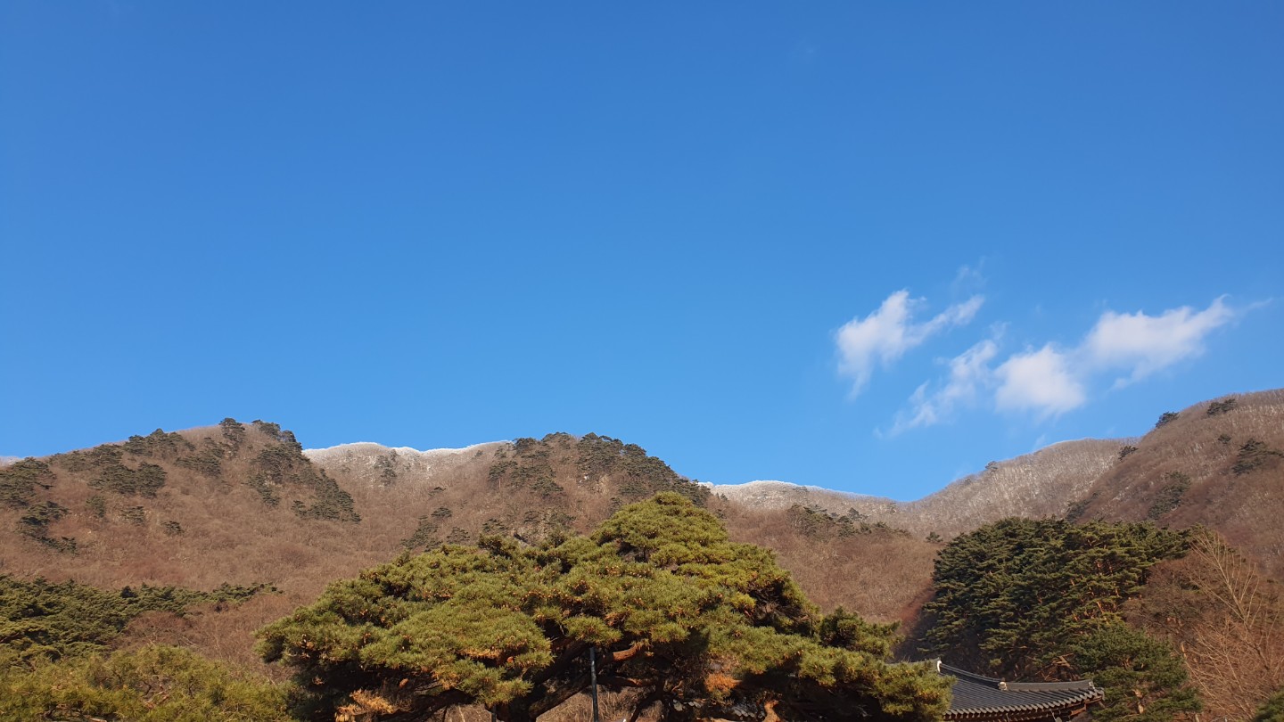 Post image 6