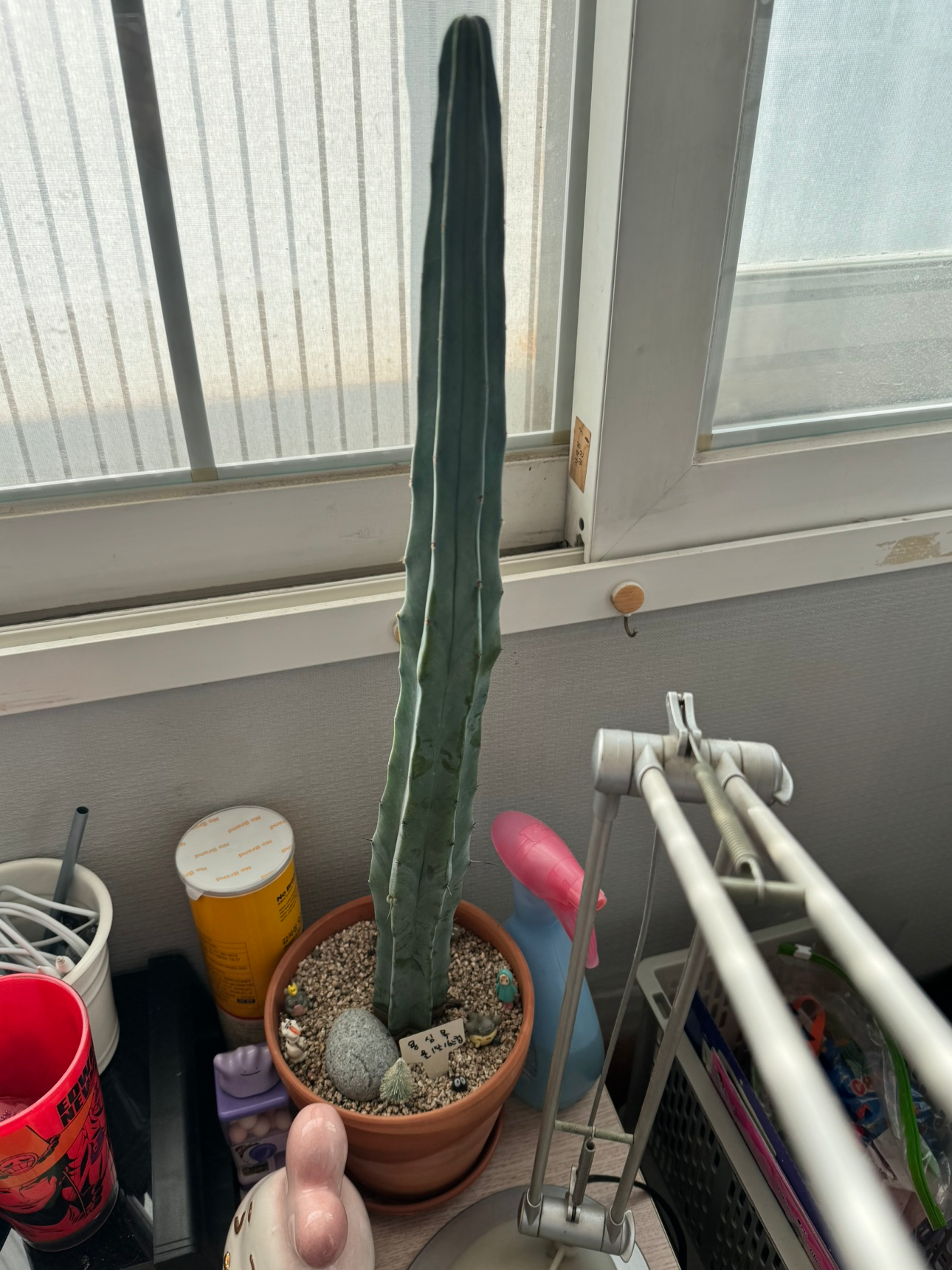 Post image 3