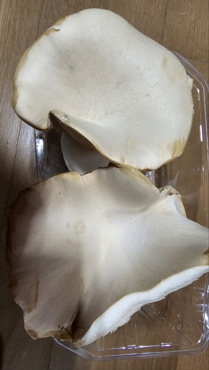 Post image 4
