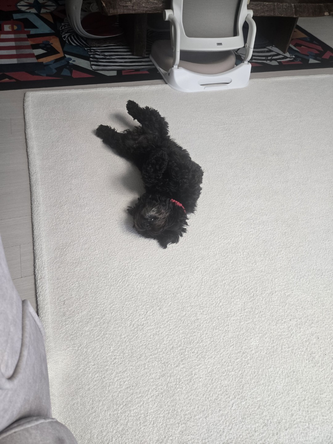 미쯔가 이쁠까 나비가이쁠까?