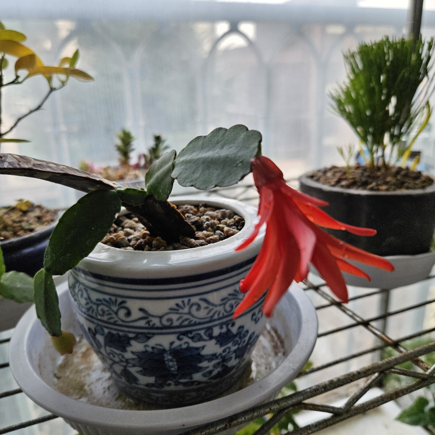 Post image 6