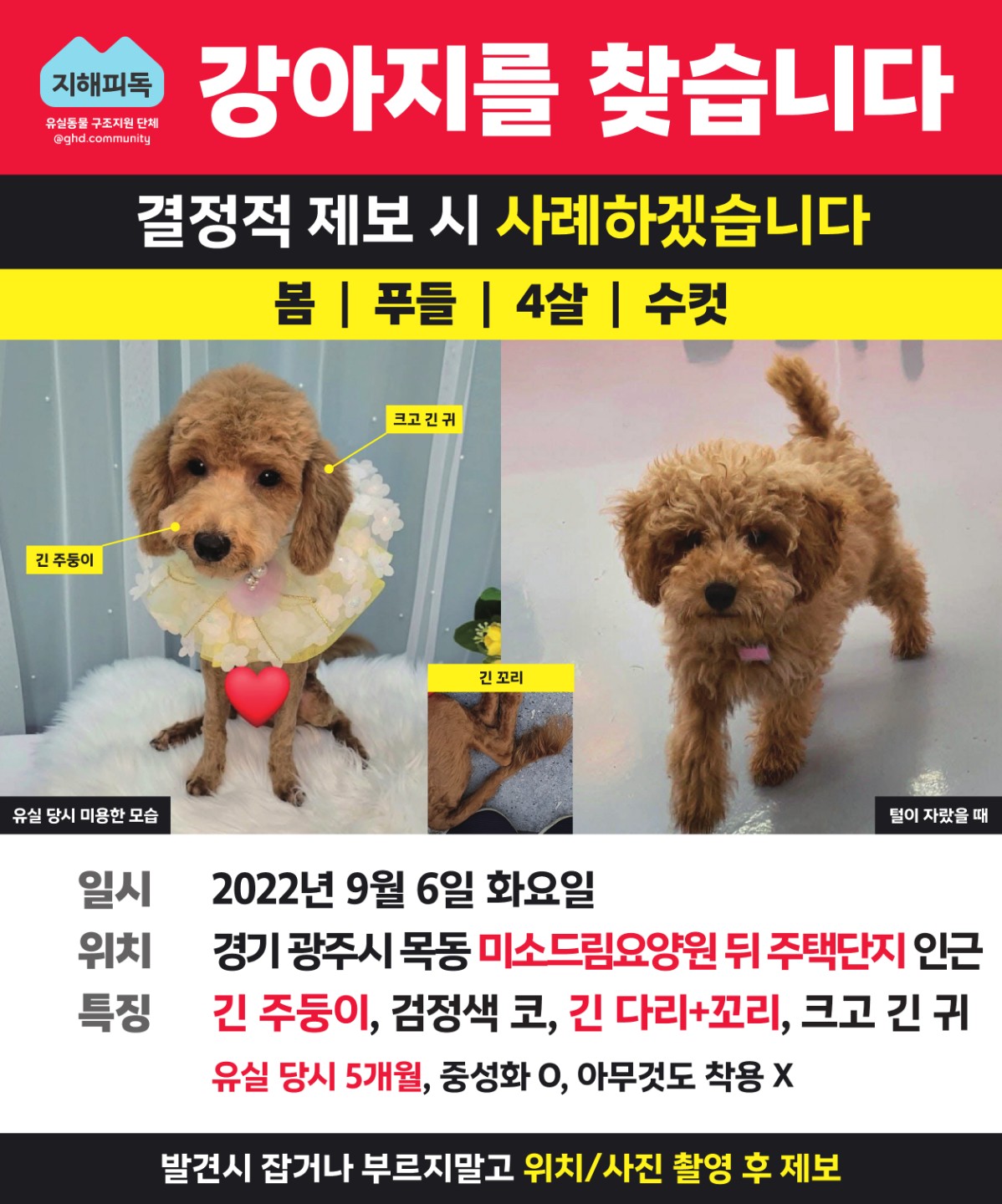 Post image 40