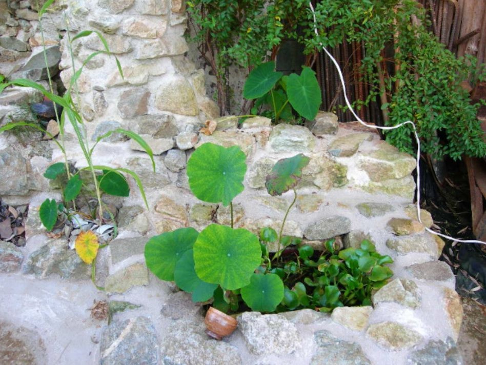 Post image 7