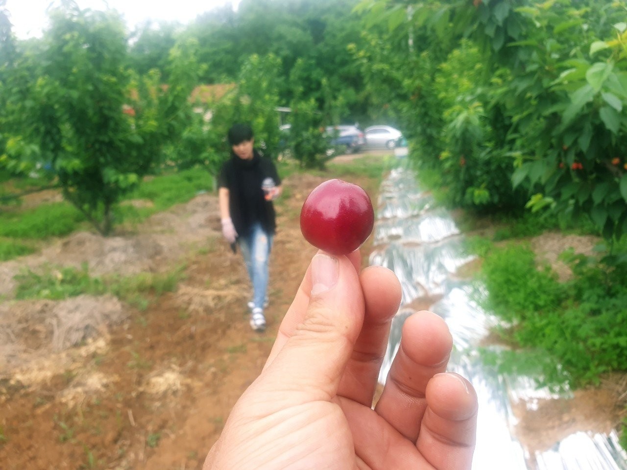 Post image 18
