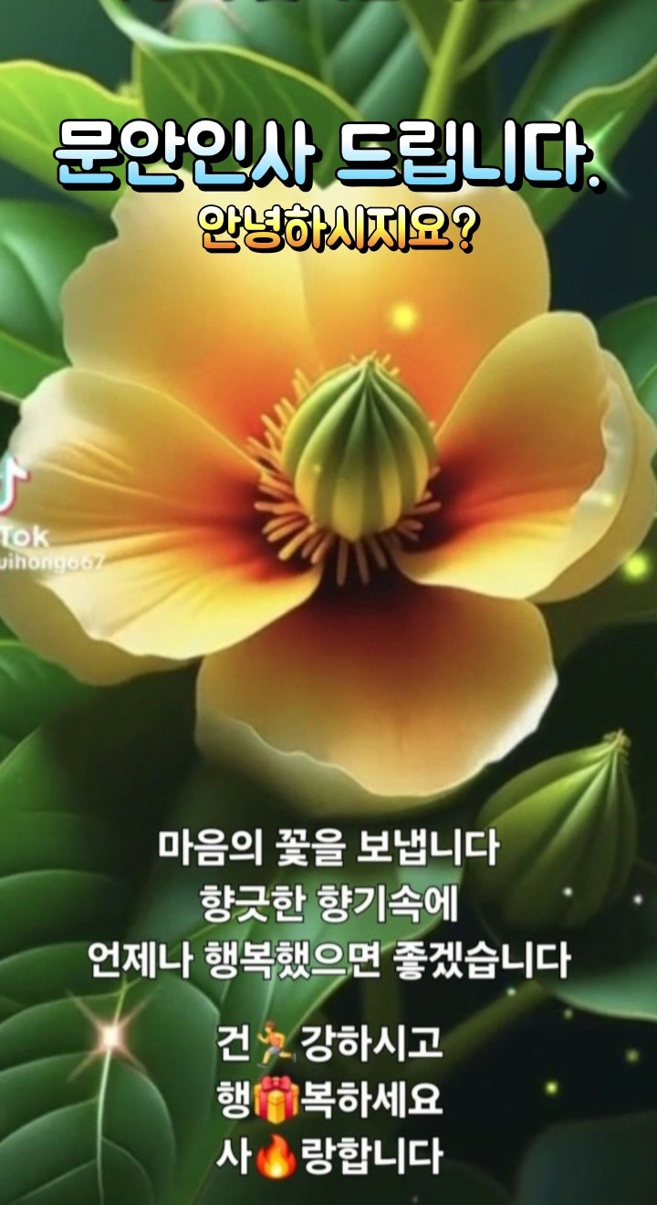 Post image 15