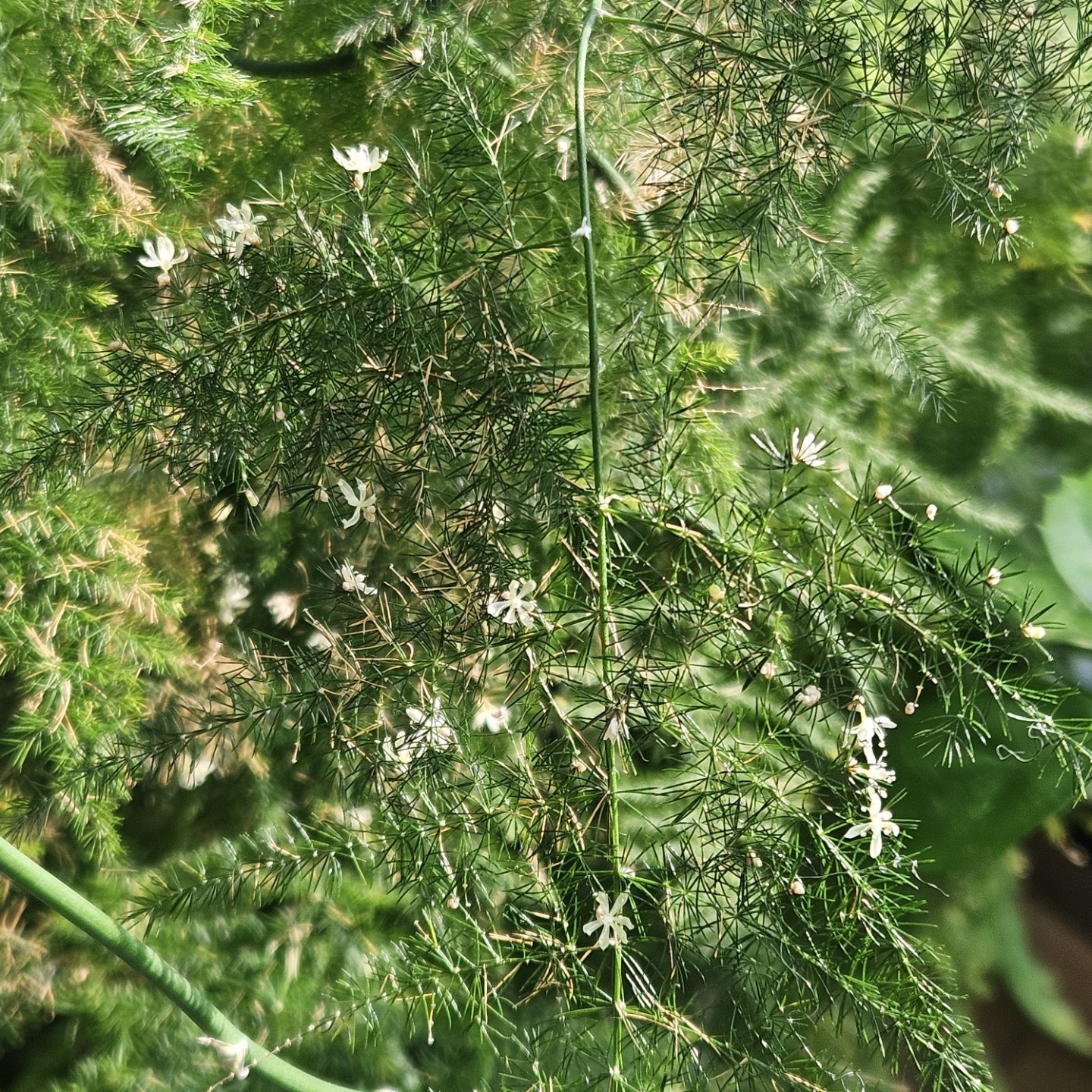 Post image 16