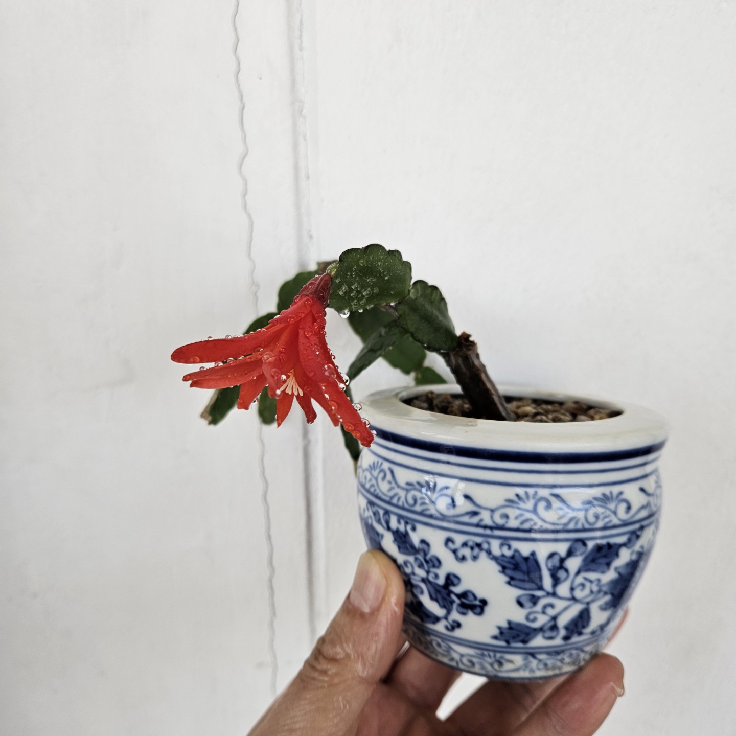 Post image 3