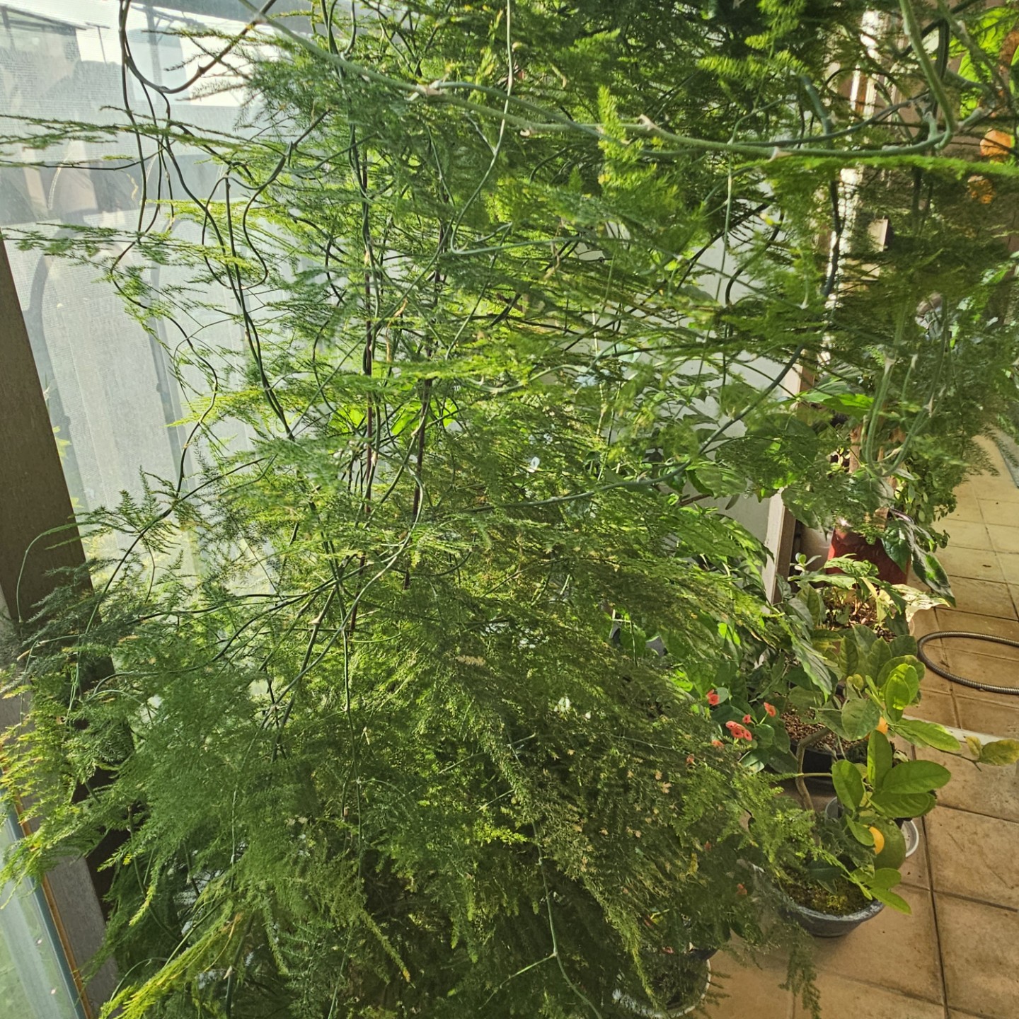 Post image 15