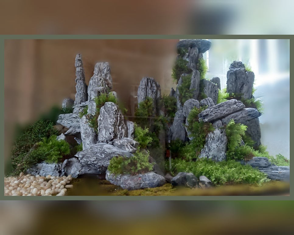 Post image 6
