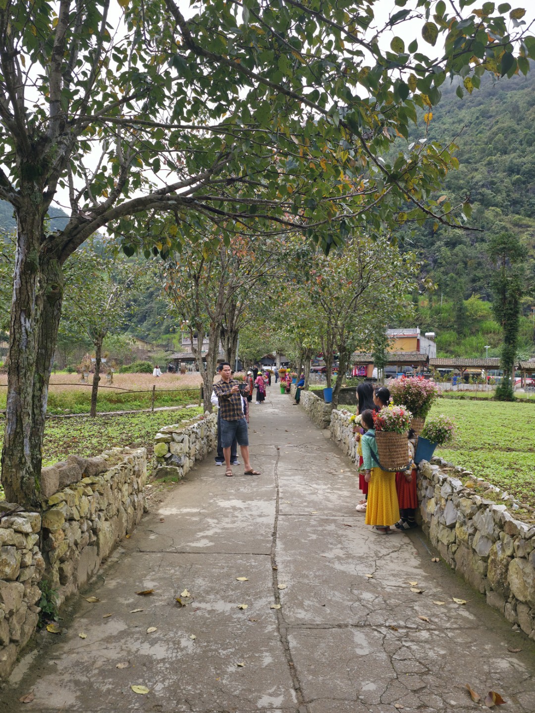 Post image 11