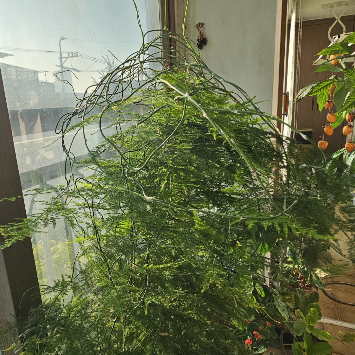 Post image 12