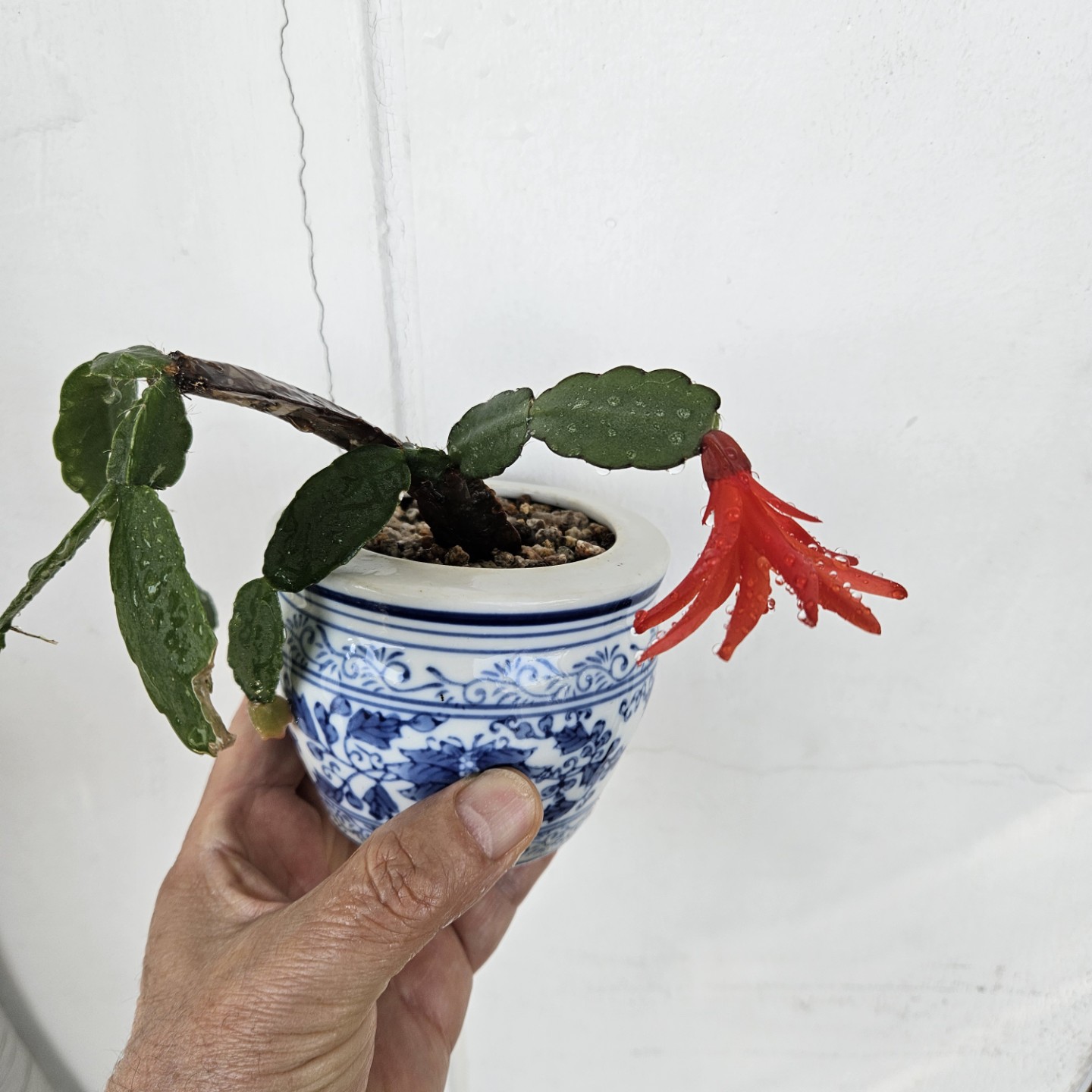 Post image 4