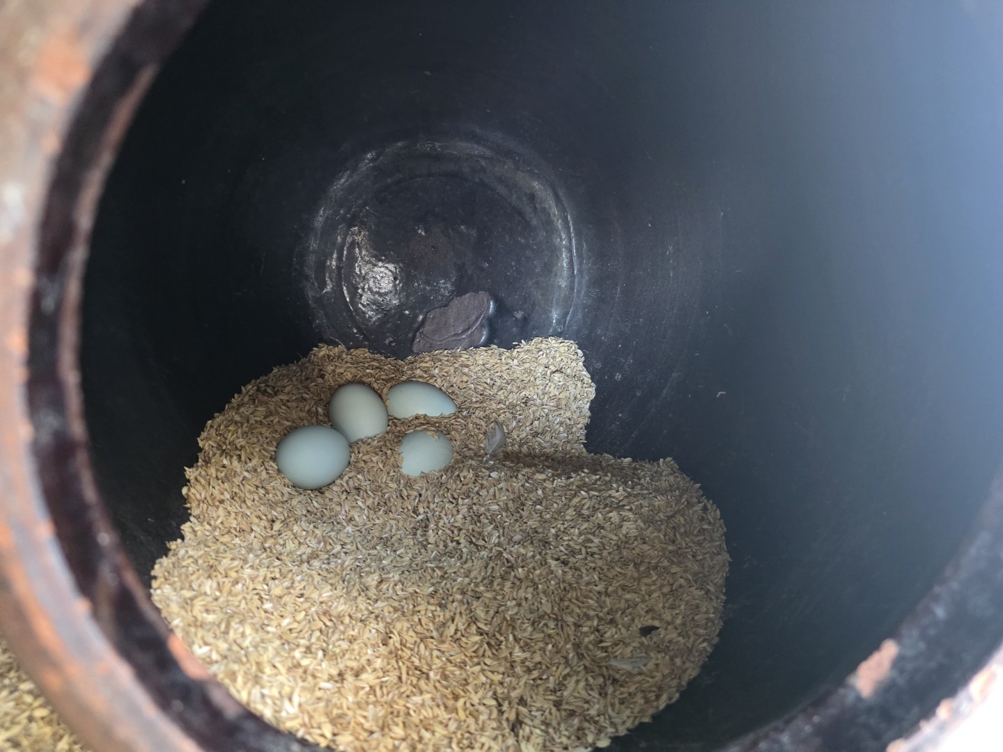 텃밭 스마트팜 모임합니다