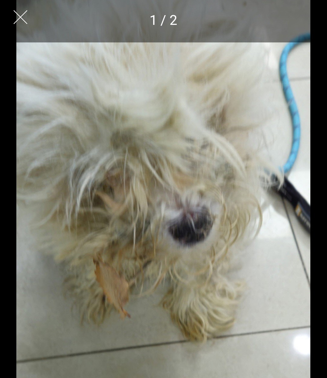 Post image 4