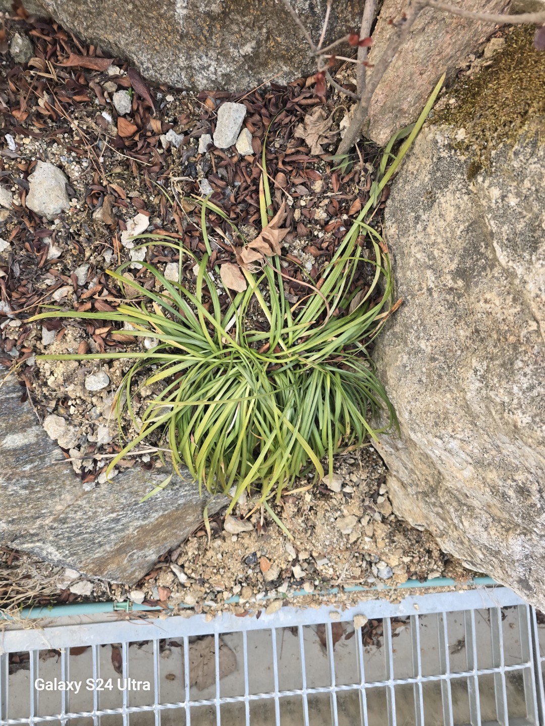 Post image 5